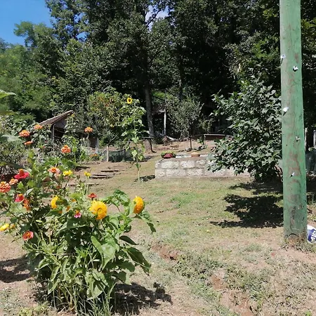 Veliki Grabovski * Grab