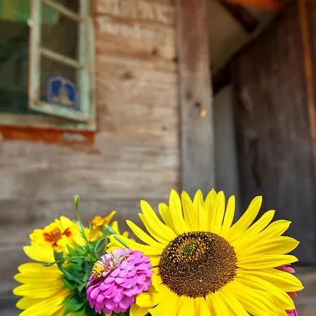 Guest house Veliki Grabovski *
